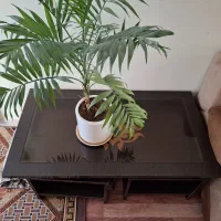 میز عسلی