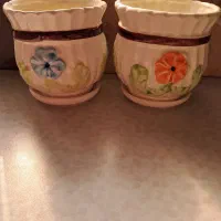 دو عدد گلدان