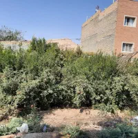 باغ تفت|فروش زمین و ملک کلنگی|تفت, |دیوار