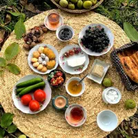 لبنیات وخشکبار عمده و...