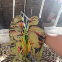 کفش فوتسال|کیف، کفش، کمربند|بوکان, |دیوار