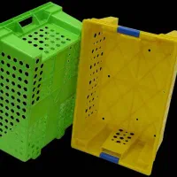 سبد درجه یک ماهی|عمده‌فروشی|پاکدشت, پاکدشت (مامازند)|دیوار