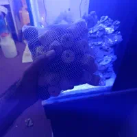 فروش مدیا  مخصوص اب شور به مقدار زیاد