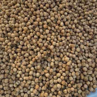 گردو بومی سامان پر چرب و سفید|عمدهفروشی|اصفهان, جاوان|دیوار