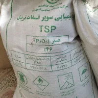 کود سوپر فسفات تریپل 46درصد و سولفات پتاسیم|خدمات باغبانی و درختکاری|بروجن, |دیوار