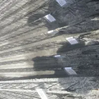 تیرچه بلوک|خدمات پیشه و مهارت|قم, نیروگاه|دیوار