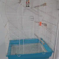 قفس طوطی عروس