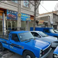 نیسان دوگانه شرکتی ۴۰۱بدون رنگ آنتیک