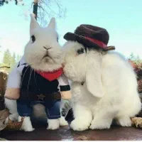 همکف-نوساز-رضاشهر-مستغلات-تک-واحدی