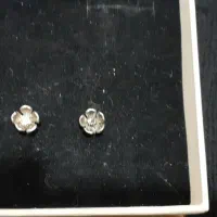 گوشواره نقره