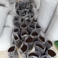 مرکز فروش انواع چای کافه و چایخانه ها|خوردنی و آشامیدنی|رشت, یخسازی|دیوار