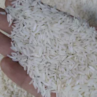 برنج معطر گلچین ایرانی به شرط