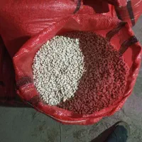 لوبیا سفید درجه یک آبگوشتی کشت پاییز امسال زود پز
