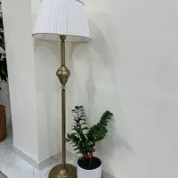 آپاژور درحد نو