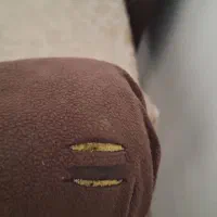 نهار خوری