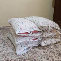 بالشت پر