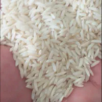 برنج فروشی|خوردنی و آشامیدنی|رضوانشهر, |دیوار