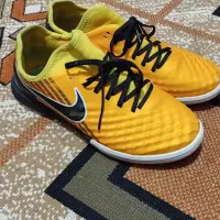 کفش مجستا|کیف، کفش، کمربند|آباده, |دیوار