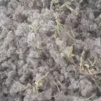 آویشن وچاهی کوهی