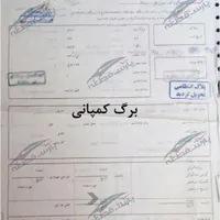 گم شده