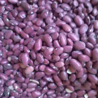 برنج و حبوبات فریدونی قیمت مناسب مناسب شادونه۳۴۰|خوردنی و آشامیدنی|بروجرد, |دیوار