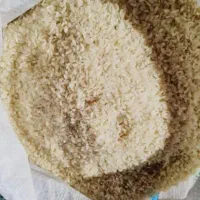 برنج کامفیروز بشرط پخت|خوردنی و آشامیدنی|صدرا-فارس, فاز ۱|دیوار