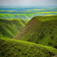 تور شاد و گروهی ۳ روزه ترکمن صحرا تا خالد نبی