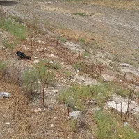 فروش زمین تجاری سنددار کنار جاده اصلی