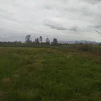 500متر خانه زمین با امتیازات کامل|فروش خانه و ویلا|احمدسرگوراب, |دیوار