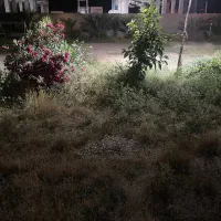زمین مسکونی