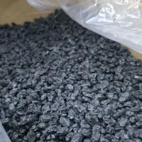 مویز سیاه بدون هسته