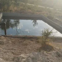 اجاره-استخر-جهت-پرورش-ماهی