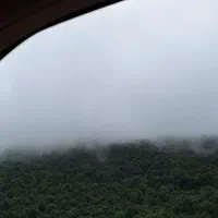 استخدام نیروی کار در کافه رستوران شمال با جای خواب