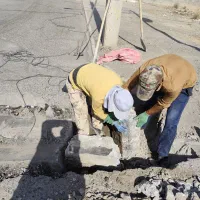 استخدام نیروی کار دائم