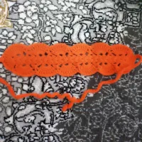 هدبند|لباس|زاهدان, |دیوار