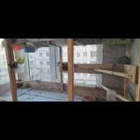 قفس کامل چوب ضد آب و تعدادی مرغ عشق مولد|پرنده|قزوین, |دیوار
