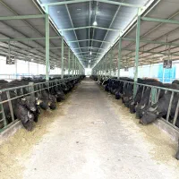 استخدام دکتر دامپزشک