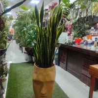 فروشنده گل فروشی|استخدام خدمات فروشگاه و رستوران|بومهن, |دیوار