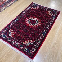 ذرع نیم اکبند حسین اباد همدان|فرش|تهران, سلسبیل شمالی|دیوار