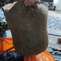 هیزه سه منی|ظروف نگهدارنده، پلاستیکی، یکبارمصرف|کرمانشاه, |دیوار