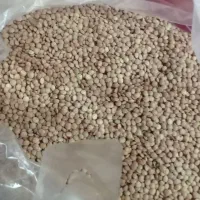 حبوبات درجه یک|خوردنی و آشامیدنی|شیراز, عادل آباد|دیوار