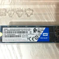 اس اس دی اینترنال وسترن M.2 ظرفیت 250 گیگابایت