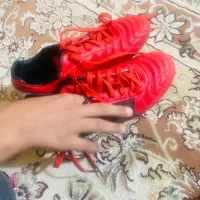 کفش چمن|کیف، کفش، کمربند|یاسوج, |دیوار