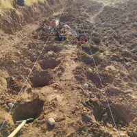 چاله فنس و چاله درخت|خدمات باغبانی و درختکاری|بروجرد, |دیوار