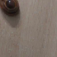 سنگ باباقوری سه پوست|کلکسیون اشیاء عتیقه|شهریار, شهریار|دیوار