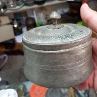 نبات دان مسی