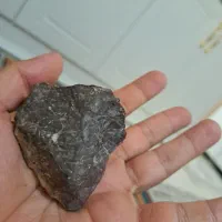 شهاب سنگ|کلکسیون اشیاء عتیقه|کهریزک, |دیوار