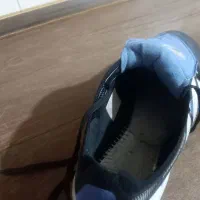 کتونی استوک ادیداس پردیتور بلینگام|کیف، کفش، کمربند|نسیم‌شهر, |دیوار