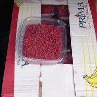 خرمای پیارم، کبکاب،ربی..|خوردنی و آشامیدنی|تربت جام, پاسداران|دیوار