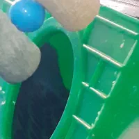 مرغ عشق بهترین رنگ|پرنده|الوند, |دیوار